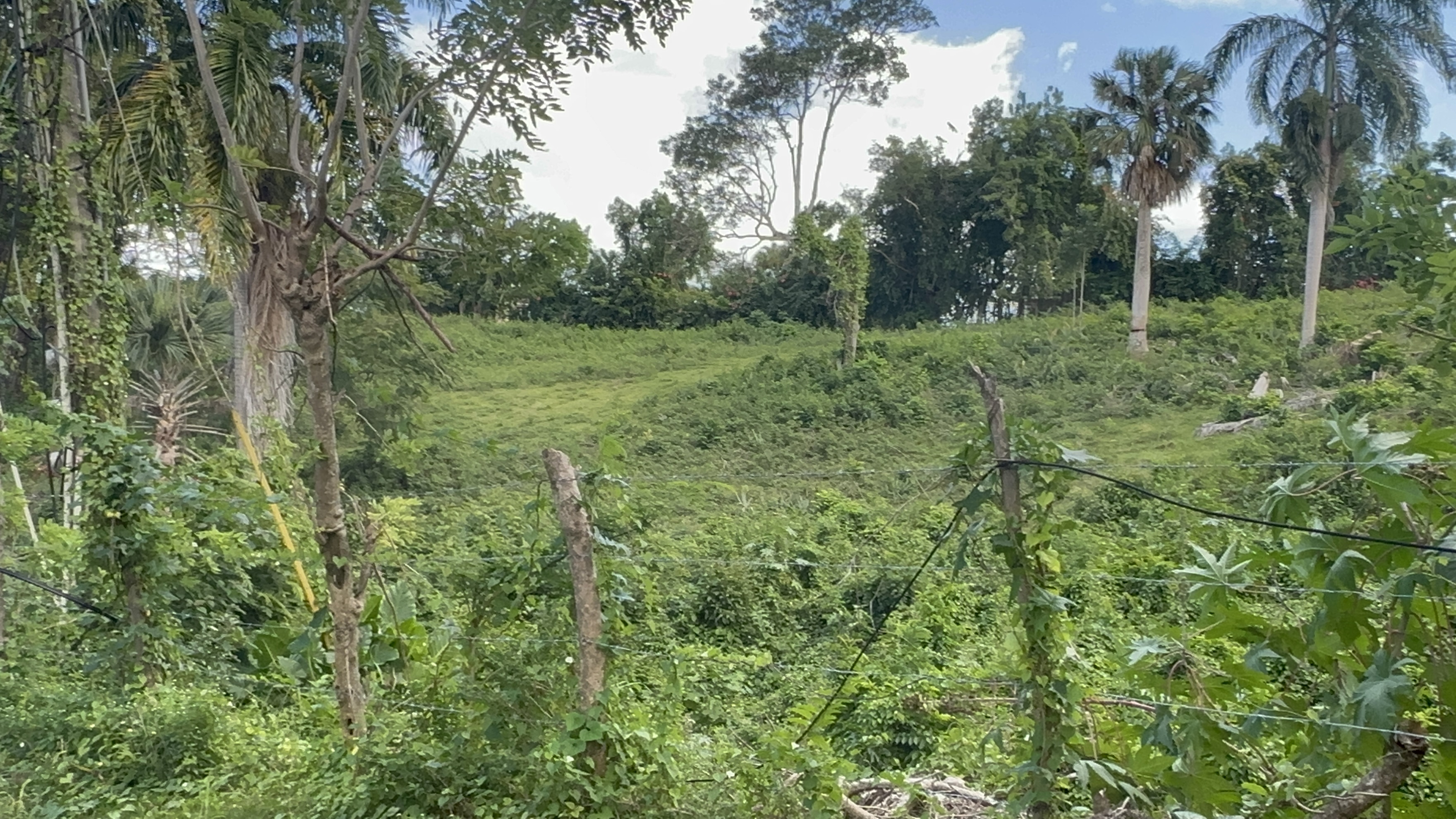 Beautiful Large plot  with amazing  ocean view on the hills of Sosua  for sale - photo 2