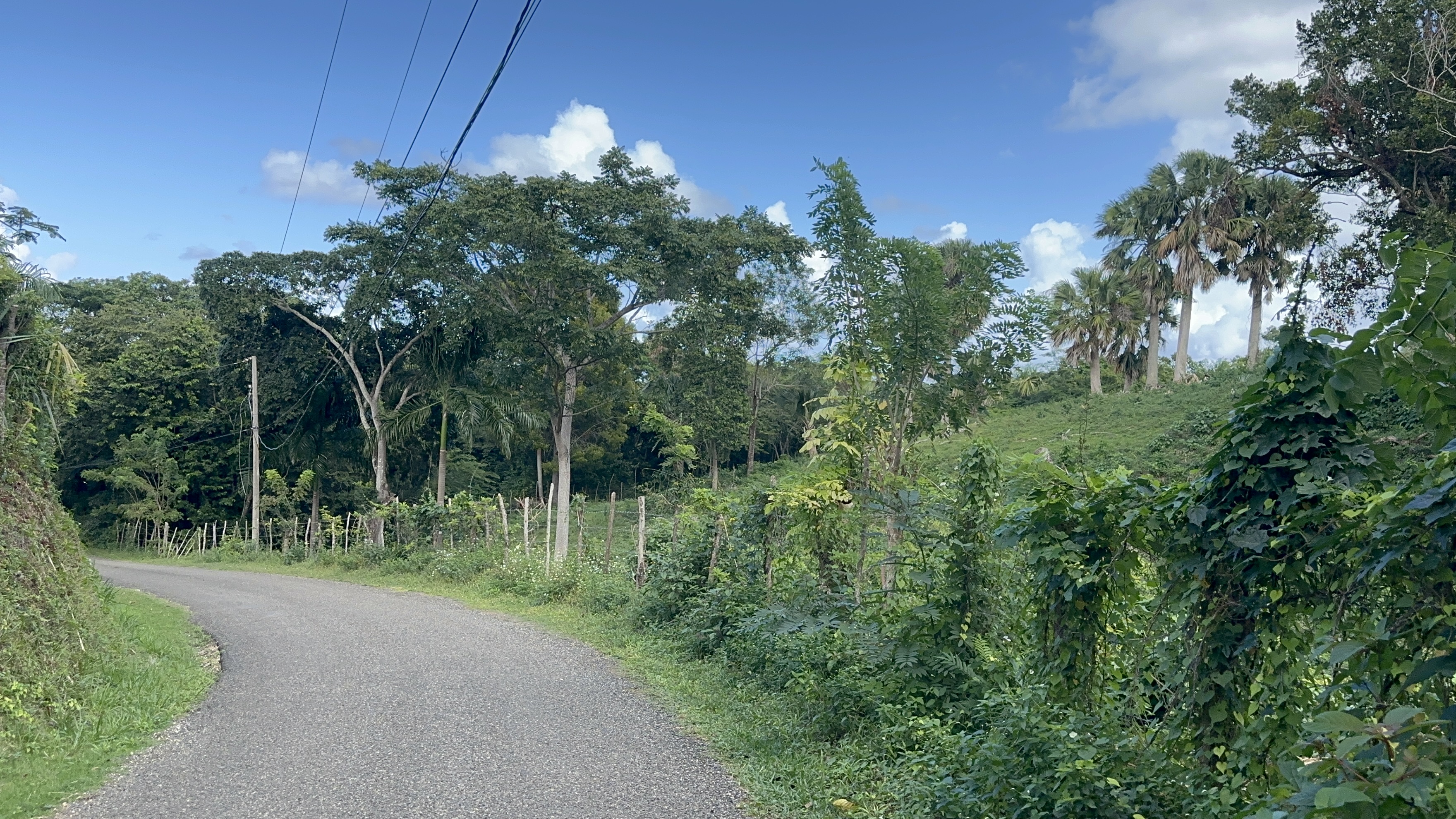 Beautiful Large plot  with amazing  ocean view on the hills of Sosua  for sale - photo 6