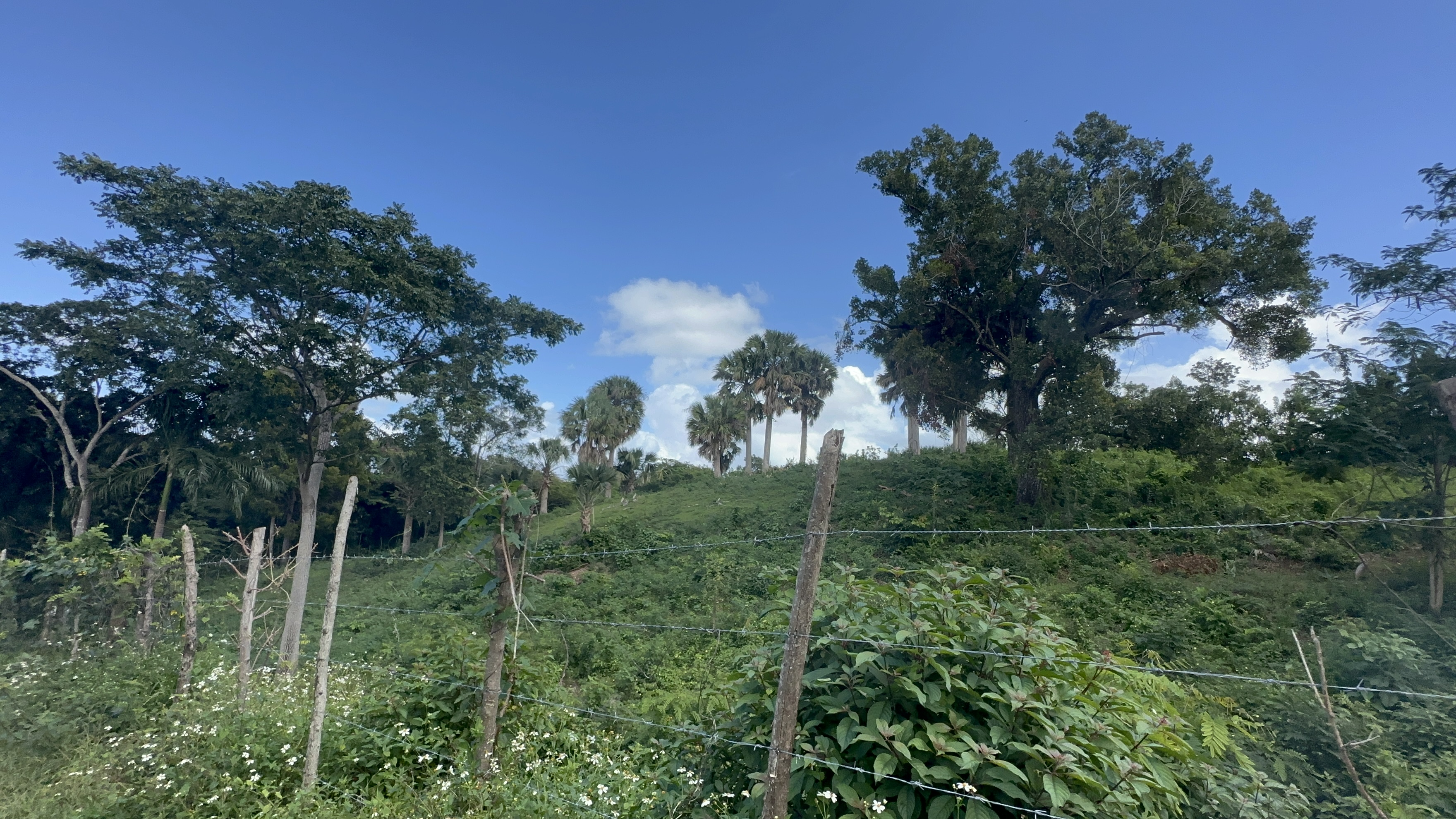 Beautiful Large plot  with amazing  ocean view on the hills of Sosua  for sale - photo 3