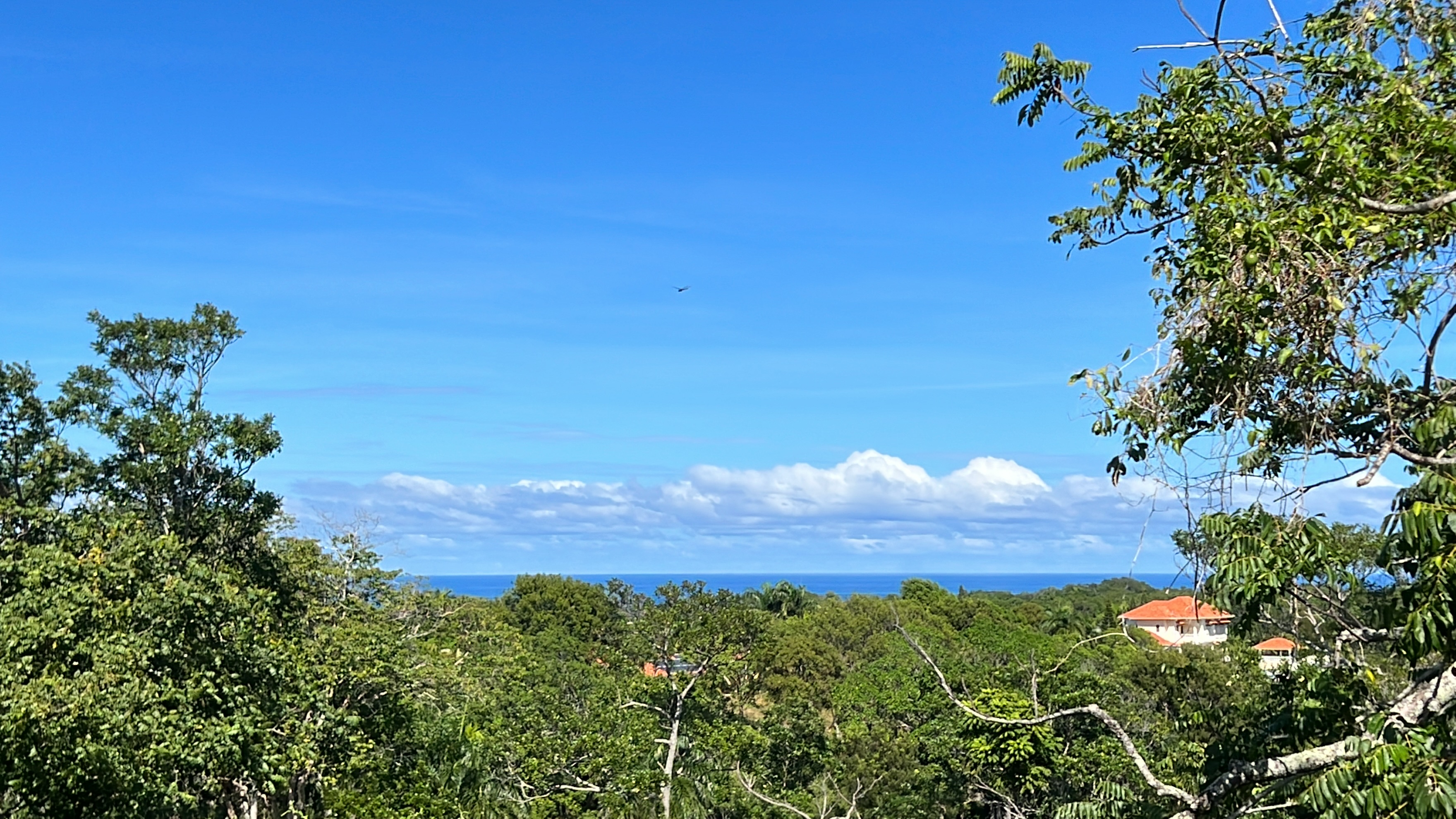 Ocean view Residential  lot in a luxury gated community in Sosua - photo 3