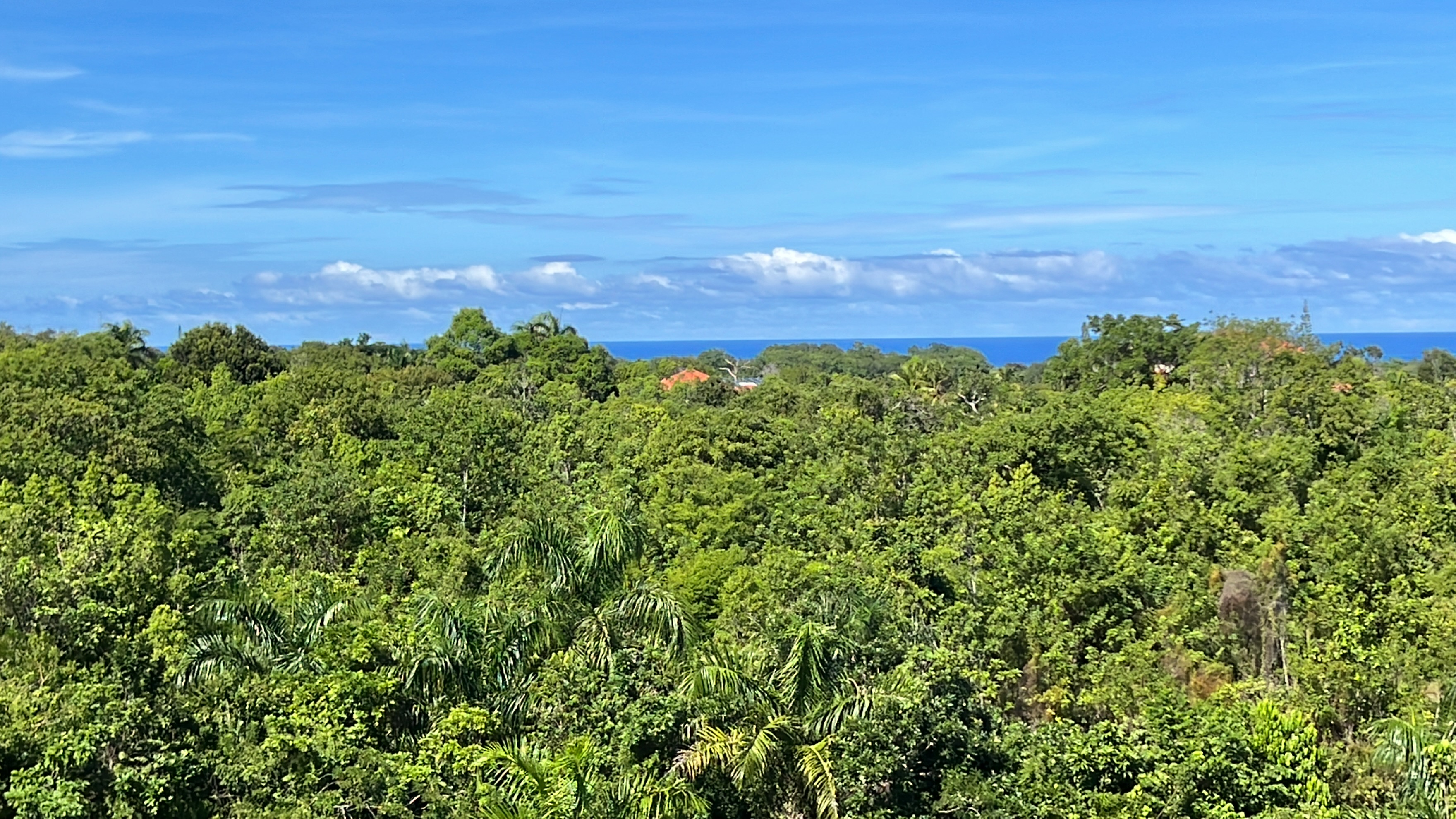Ocean view Residential  lot in a luxury gated community in Sosua - photo 1