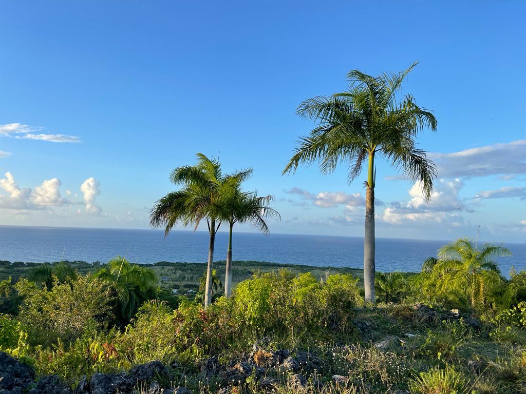 SALE PRICE! CABRERA OCEAN VIEW LOTS IN GATED COMMUNITY - photo 2