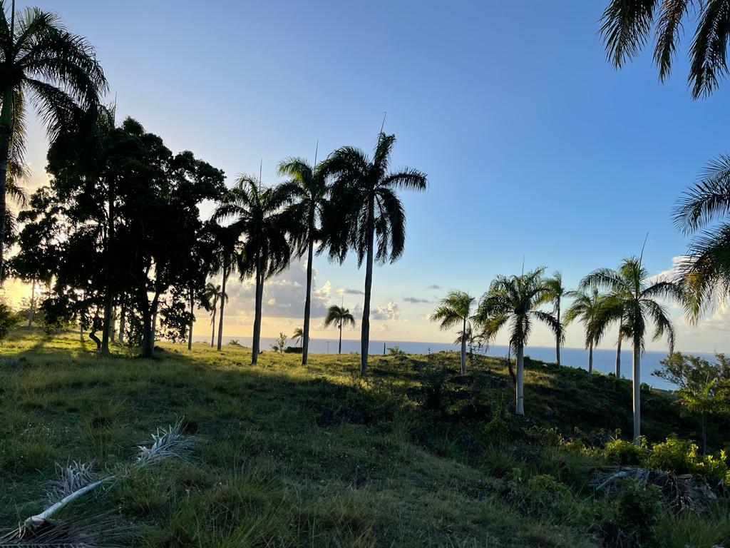 SALE PRICE! CABRERA OCEAN VIEW LOTS IN GATED COMMUNITY - photo 1