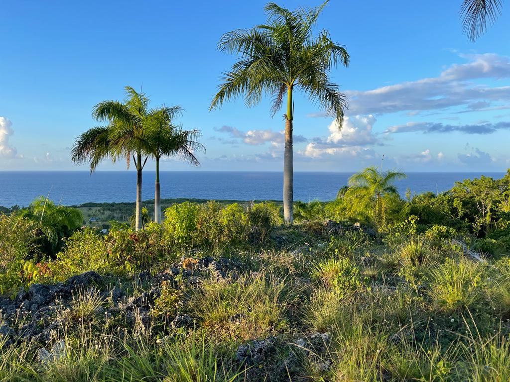 SALE PRICE! CABRERA OCEAN VIEW LOTS IN GATED COMMUNITY - photo 4