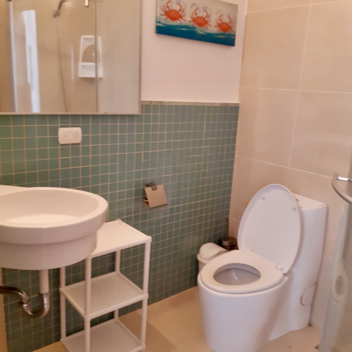 Apartment With Private Beach For Sale In Sosua - photo 5
