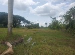 138621-whatsapp_image_2023_07_26_at_15.36.35