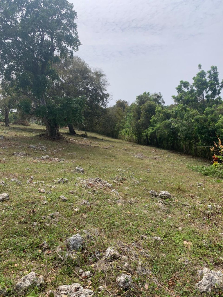 Commercial Land For Sale 8,376m2 Prime Ocean-View Parcel in El Batey, Sosúa Ready for Development