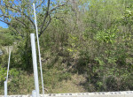 158151-img_7205